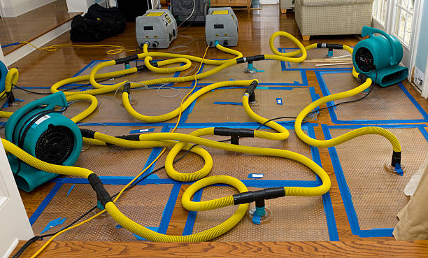 Professional Burst Pipe Water Damage technician working in Woodbury, TN